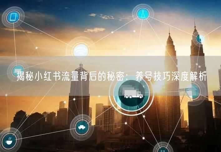 揭秘小红书流量背后的秘密：养号技巧深度解析