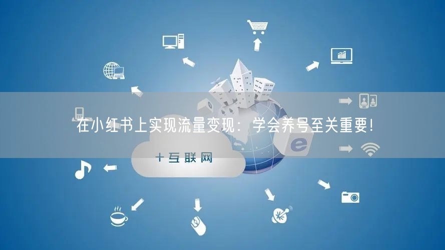 在小红书上实现流量变现：学会养号至关重要！