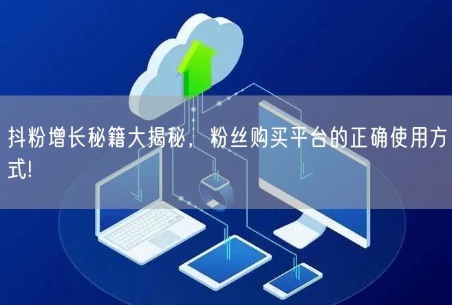 抖粉增长秘籍大揭秘，粉丝购买平台的正确使用方式!