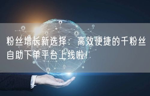 粉丝增长新选择：高效便捷的千粉丝自助下单平台上线啦！