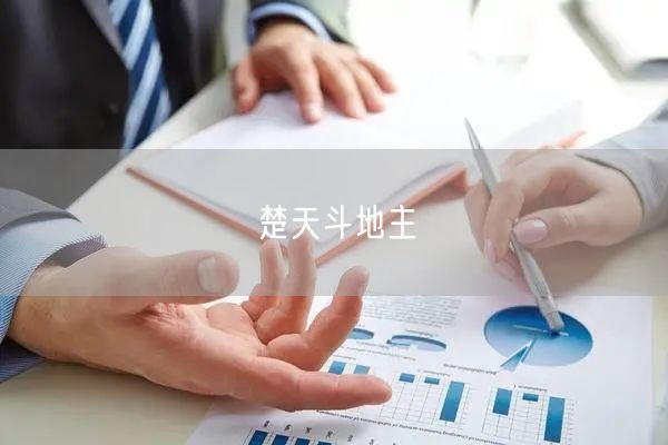 楚天斗地主